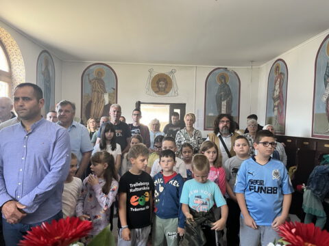 IMG-fca830515517a2d65ec798c68aebb530-V_resize