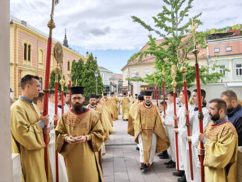 IMG_20240502_095734_resize