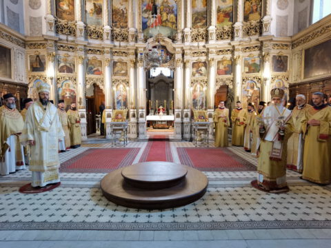 IMG_20240502_100136_resize