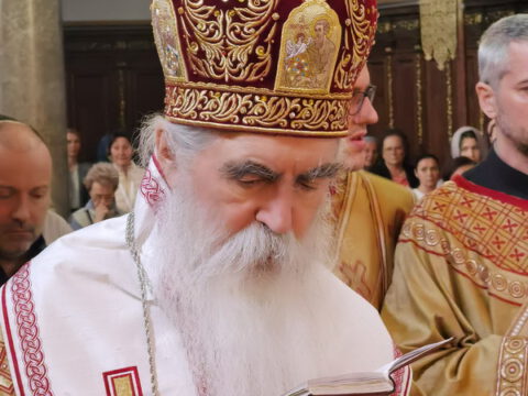 IMG_20240502_100512_resize