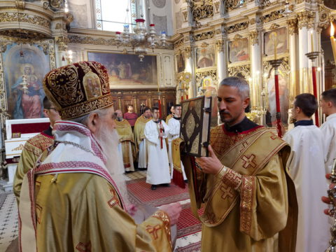 IMG_20240502_101651_resize