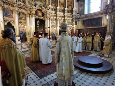 IMG_20240502_101730_resize