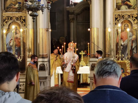 IMG_20240502_103322_resize