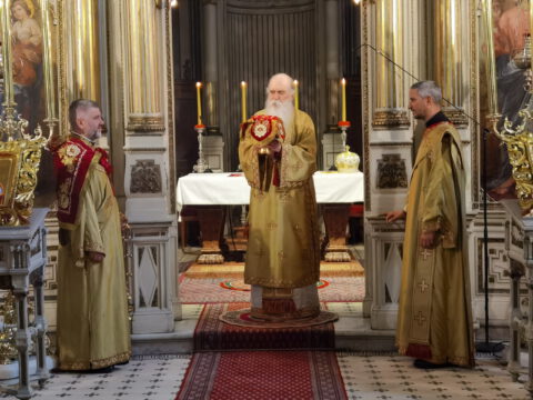 IMG_20240502_111501_resize