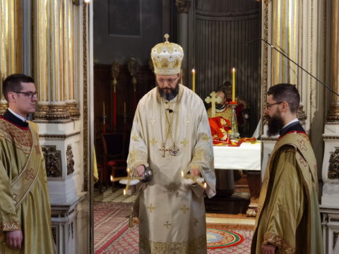 IMG_20240502_111742_resize