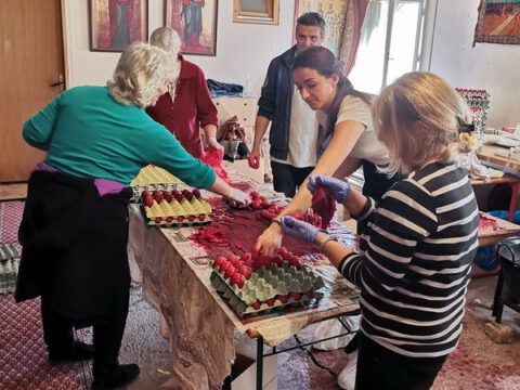 IMG_20240502_114942_resize