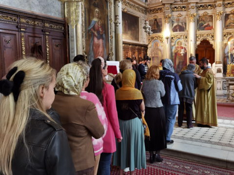 IMG_20240502_120927_resize