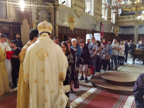 IMG_20240502_120954_resize