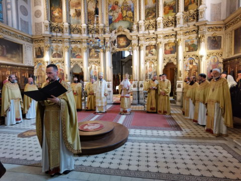 IMG_20240502_121809_resize