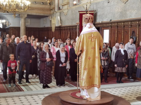 IMG_20240502_122110_resize