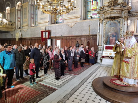 IMG_20240502_122153_resize