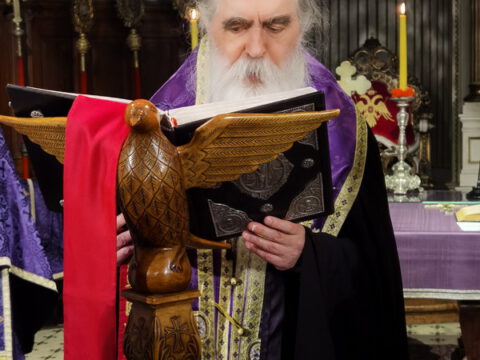 IMG_20240502_182228_resize