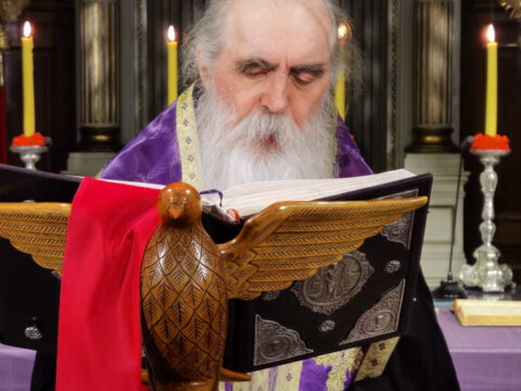 IMG_20240502_204159_resize