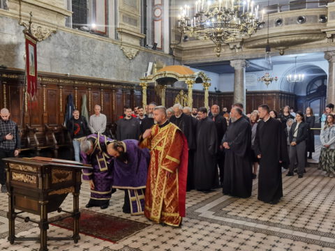 IMG_20240502_204538_resize