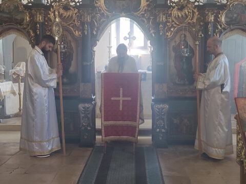 IMG_20240505_094805_resize