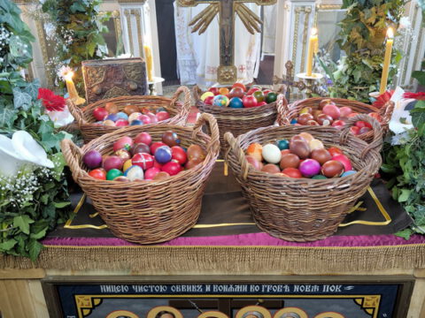 IMG_20240505_095213_resize