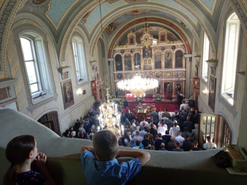 IMG_20240505_095718_resize