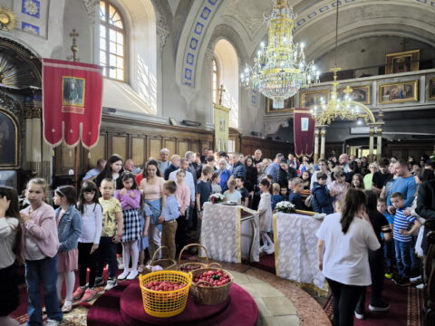 IMG_20240505_100226_resize_resize