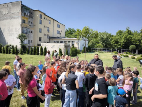 IMG_20240505_105827_resize_resize