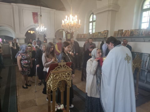 IMG_20240505_110624_resize