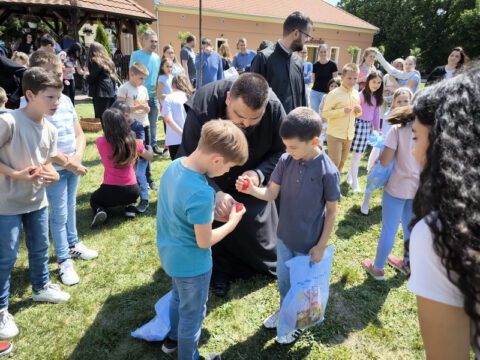 IMG_20240505_112752_resize_resize