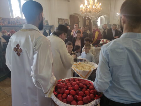 IMG_20240505_114334_resize