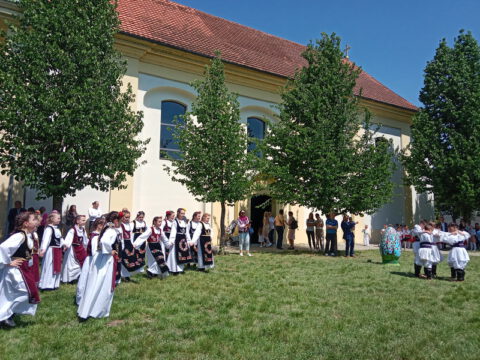 IMG_20240505_115027_resize