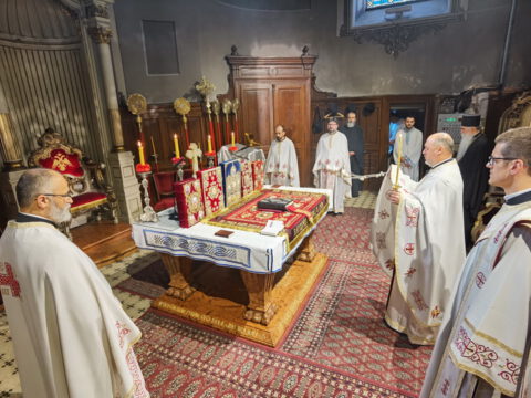 IMG_20240507_081642_resize