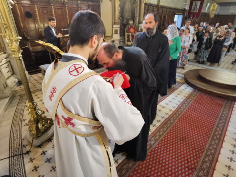 IMG_20240507_092317_resize