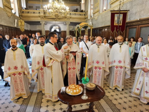 IMG_20240507_093636_resize