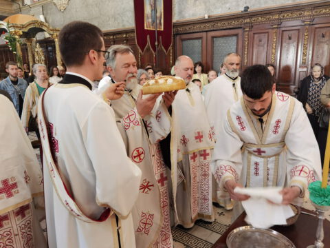 IMG_20240507_093823_resize