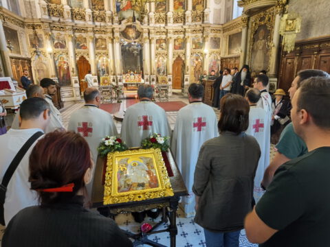 IMG_20240507_094203_resize