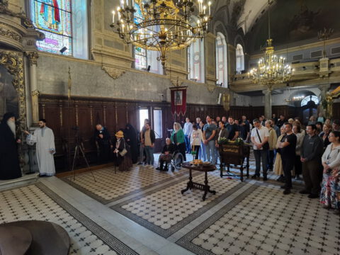 IMG_20240507_094842_resize