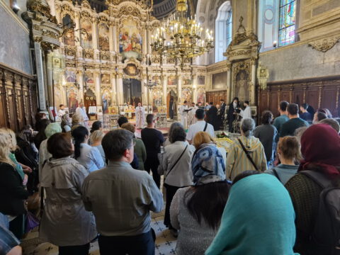 IMG_20240507_094904_resize