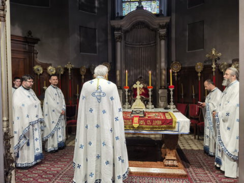 IMG_20240512_090946_resize