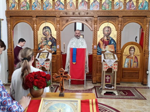 IMG_20240512_092041_resize