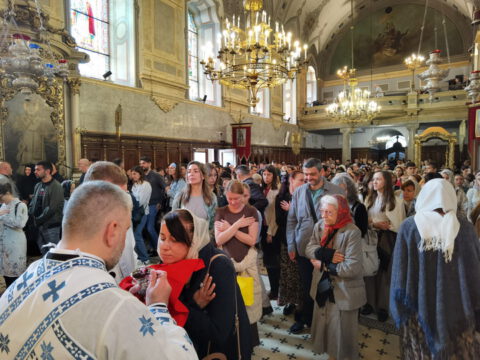 IMG_20240512_104128_resize