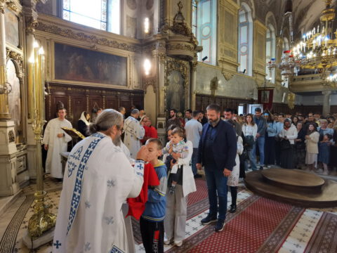 IMG_20240512_104220_resize