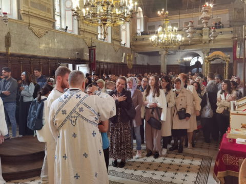 IMG_20240512_104238_resize