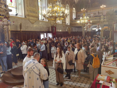 IMG_20240512_104306_resize