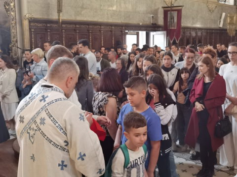 IMG_20240512_104414_resize