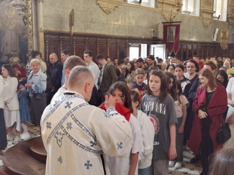 IMG_20240512_104426_resize