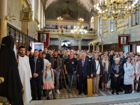 IMG_20240512_110210_resize