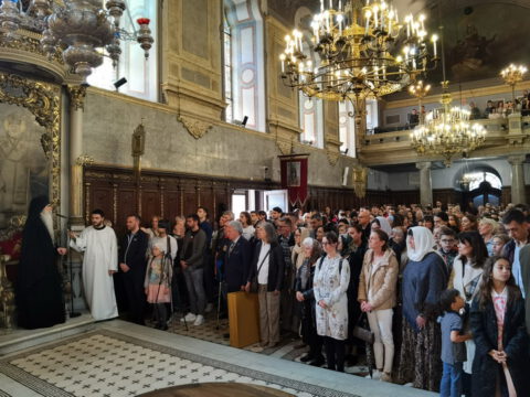 IMG_20240512_110218_resize