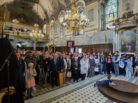 IMG_20240512_110305_resize