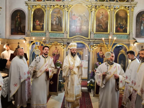 IMG_20240522_091456_resize