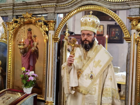 IMG_20240522_091730_resize