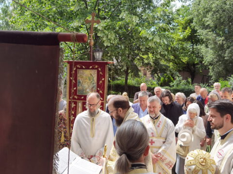 IMG_20240522_104043_resize