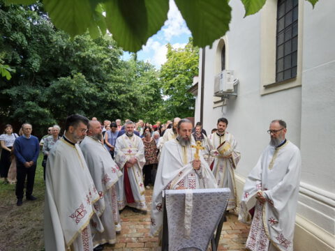 IMG_20240522_104519_resize