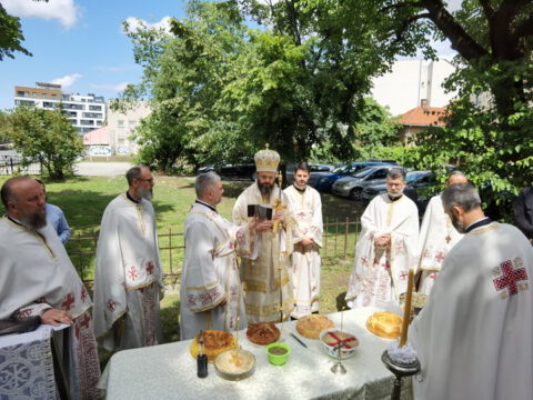 IMG_20240522_110144_resize